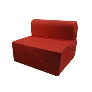 trendy-sofa-cum-bed-500x500